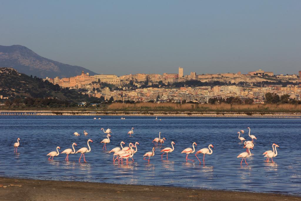 Appartamenti Le Rondini Cagliari Luaran gambar